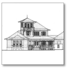 Sea Colony